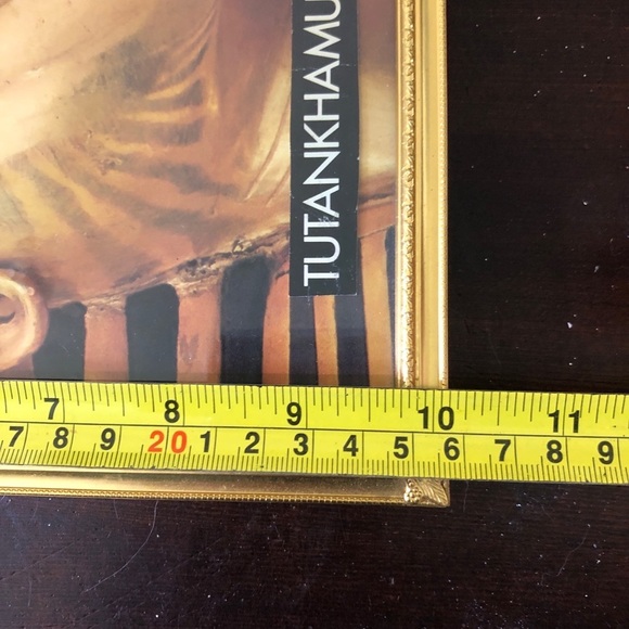 Egyptian Picture King Tut. 8x10 - Picture 4 of 4